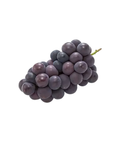 Profile image of 仲川 瑠夏