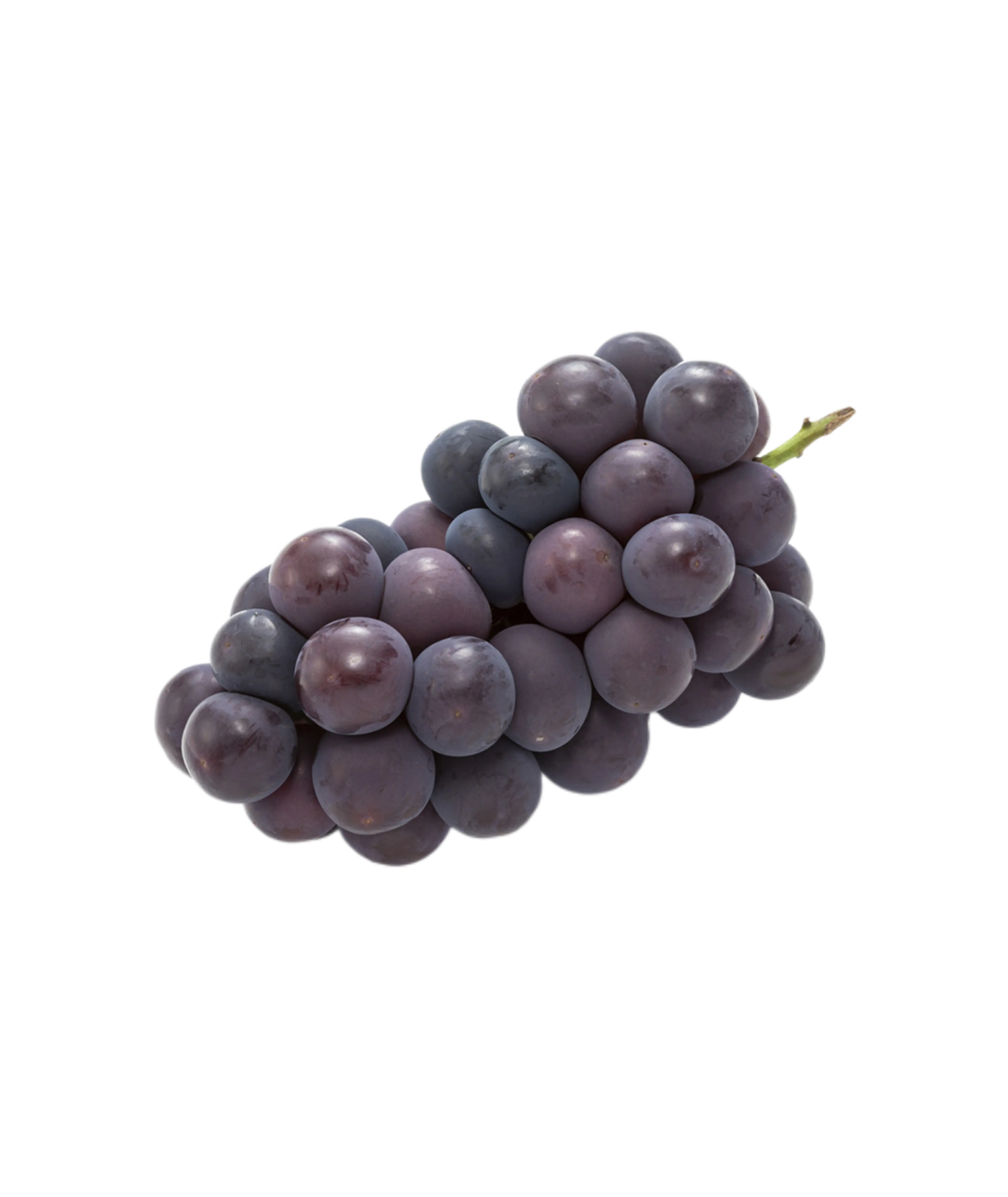 HARAJUKU의 恋人ごっこ