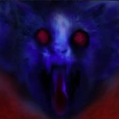 shhvdr의 고양이 귀신
