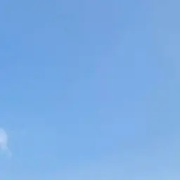 Profile image of 전하준