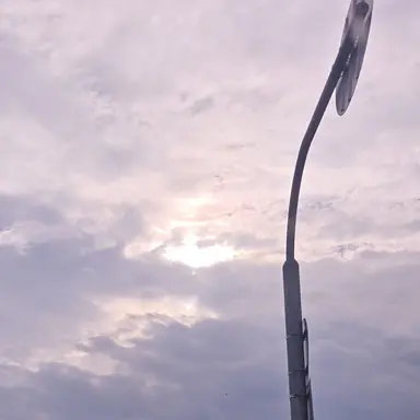 Profile image of 서 라 더