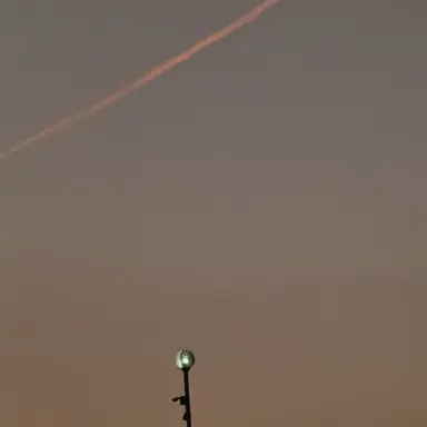 Profile image of 잔