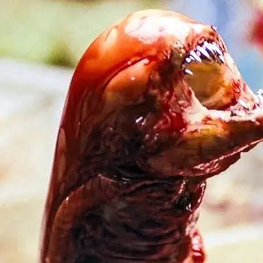 Profile image of Chestburster