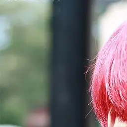 dewl의 ­