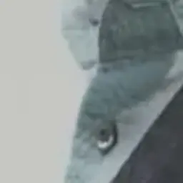 Profile image of 大森 元貴