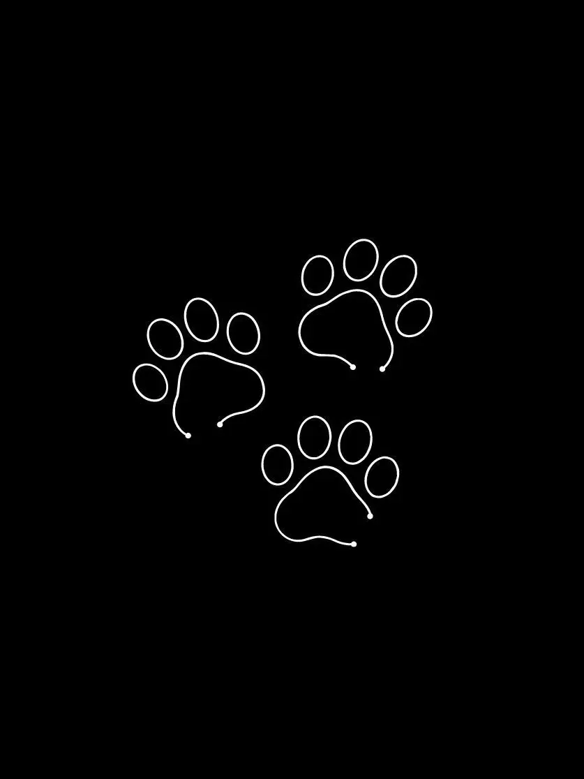 yokohama-.HC의 My 3 Cool & Cute Pets
