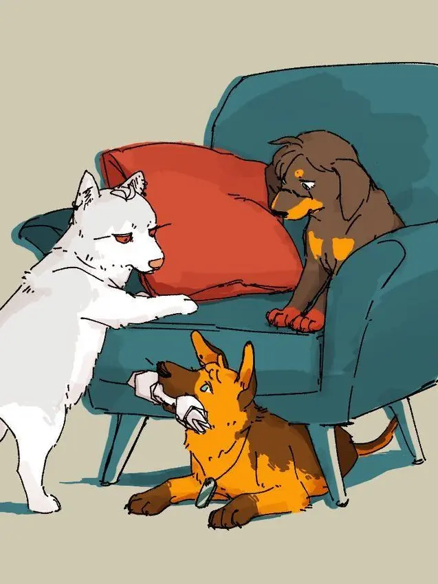 yokohama-.HC의 My 3 Cool & Cute Pets