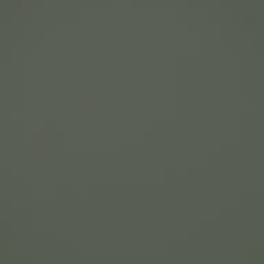 Profile image of 트라이