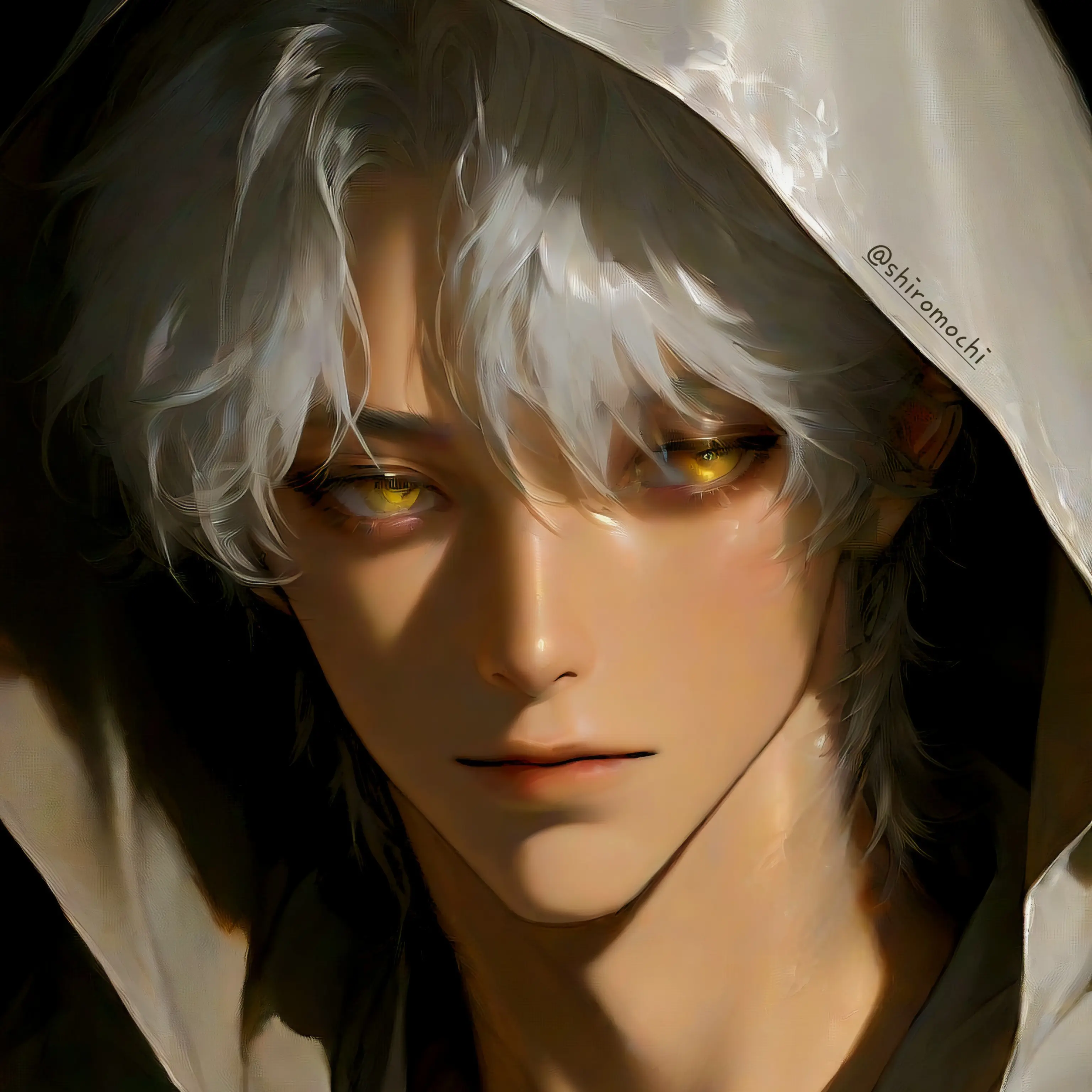 shiromochi의 제이든