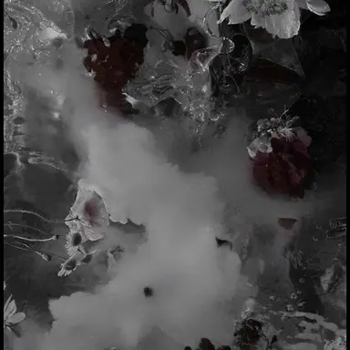Profile image of 이안