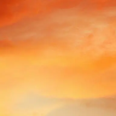 Profile image of 준브레드