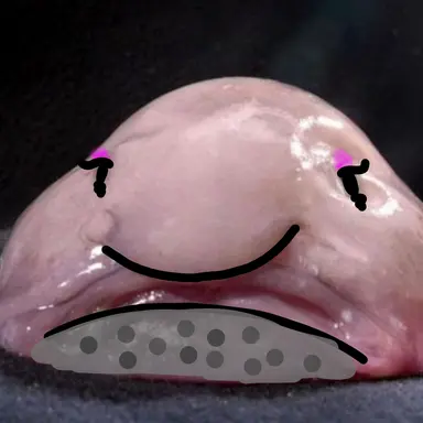 Profile image of 여우