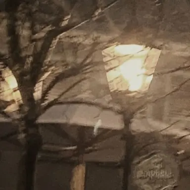 Profile image of 준브레드