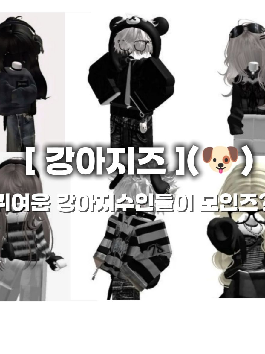 강아지즈.(🐶) 대표 이미지