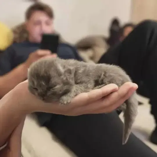 SmokySkirt2969의 Through Every Storm