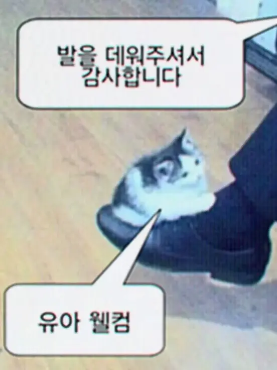 Lida1119의 🎵 아잉