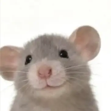 Profile image of トニースターク