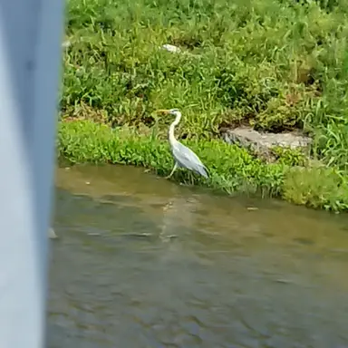 Profile image of 공룡