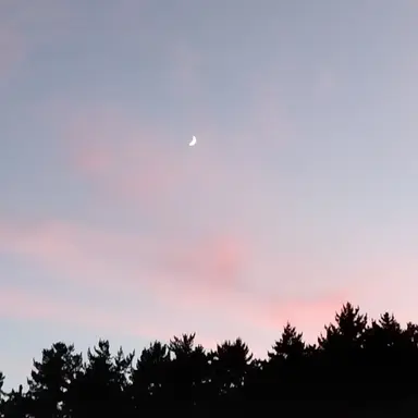 Profile image of 라더