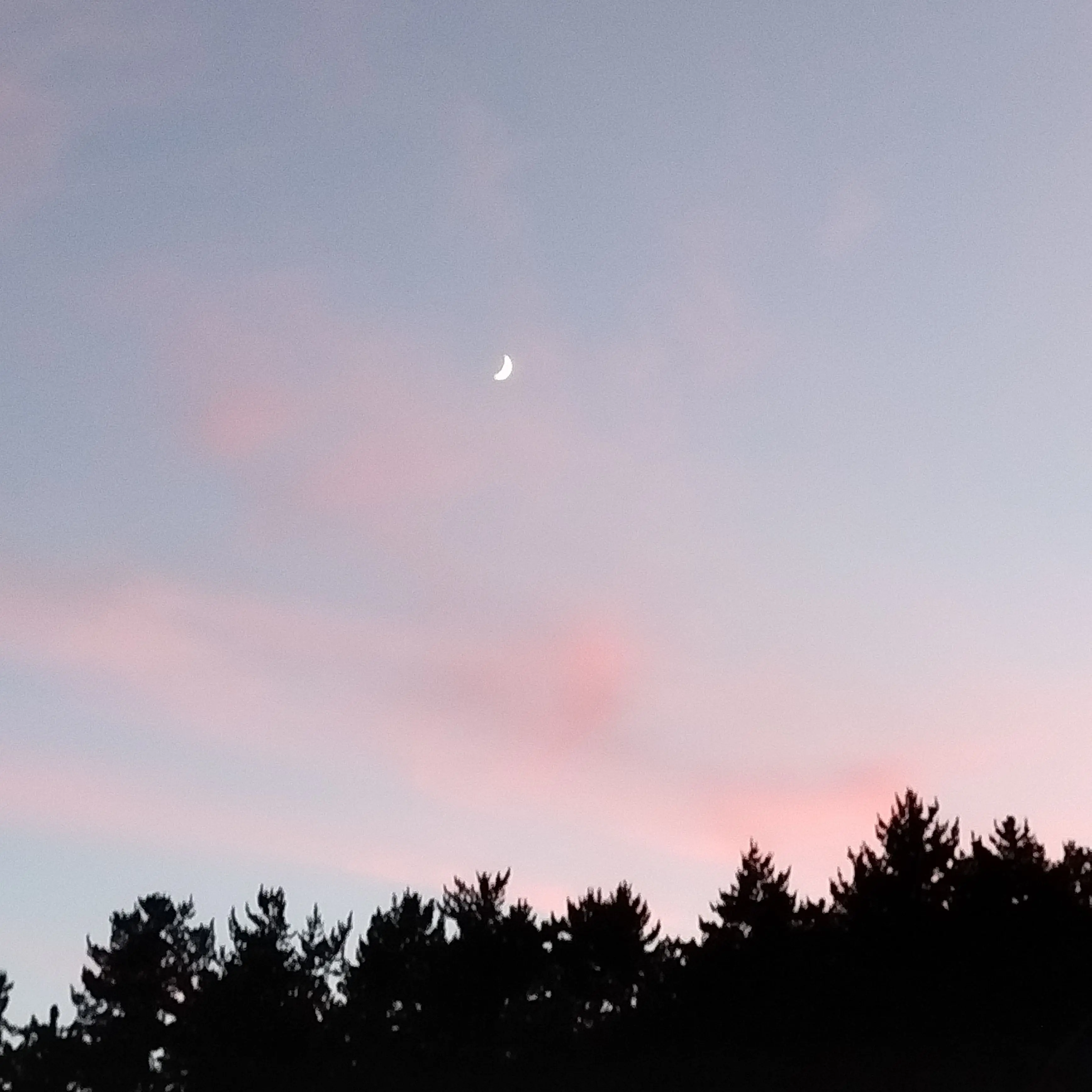 MeanNylon3207의 '실수로 저승열차를타버렸다!..'