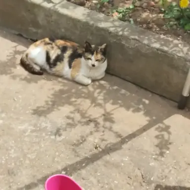 Profile image of 각별