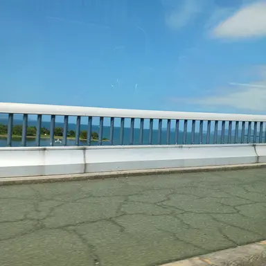 Profile image of ファルコン