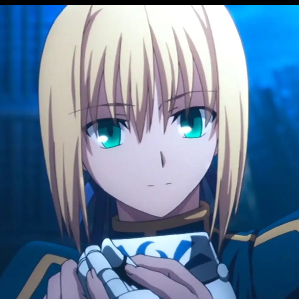 BrownGold2865의 セイバー