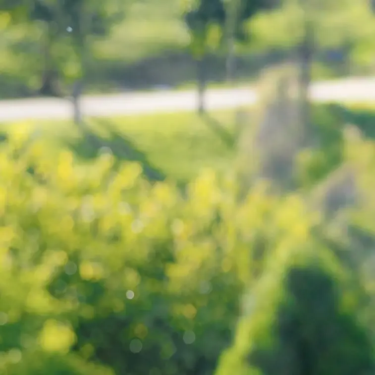 Bndloveend의 김동현