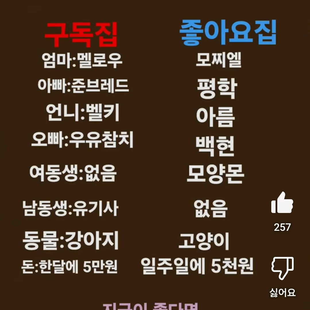 좋아요집 가족