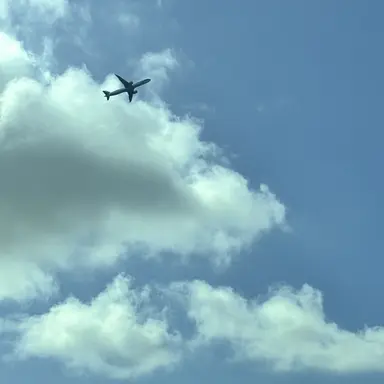 Profile image of 니노 선데이