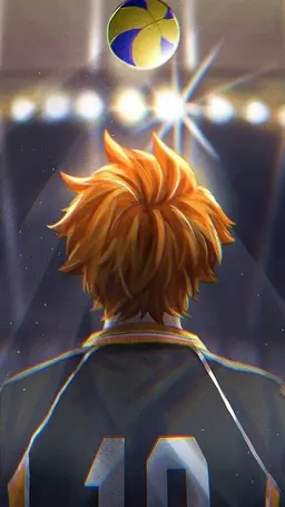 Profile image of Shoyo Hinata