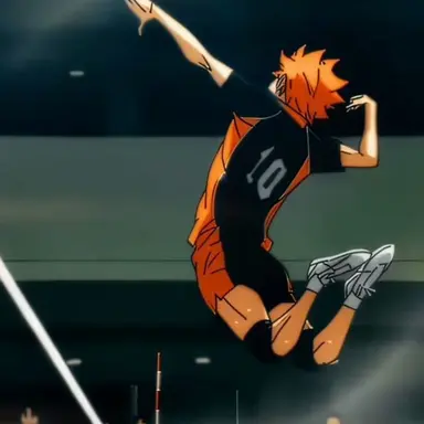 Profile image of Shoyo Hinata