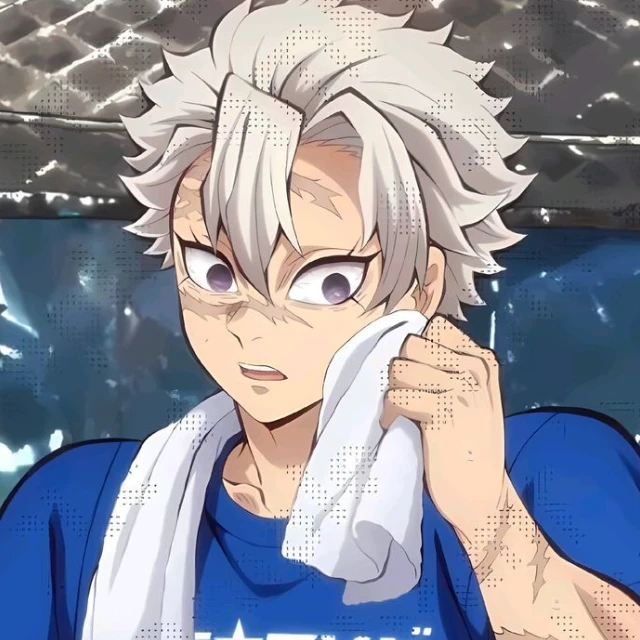 시나즈가와 사네미