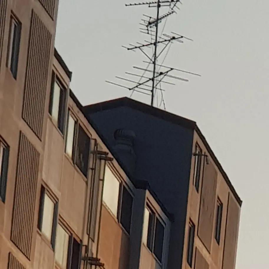 deok_jin의 강연호