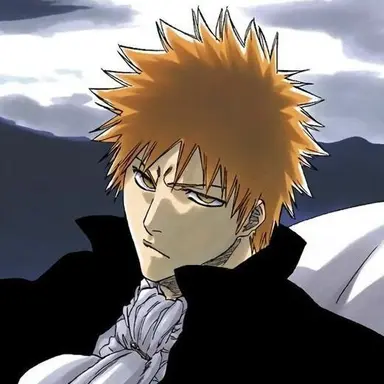 Profile image of 黒崎一護