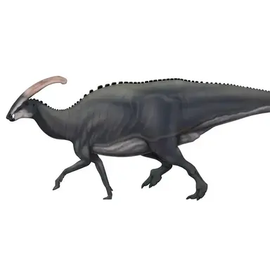 Profile image of 파라사우롤로푸스