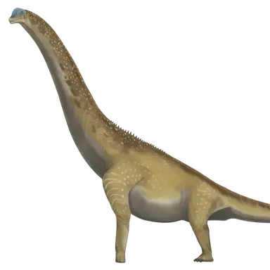 Profile image of 브라키오사우루스