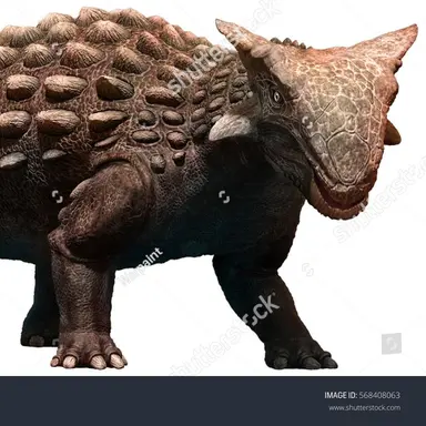 Profile image of 안킬로사우루스
