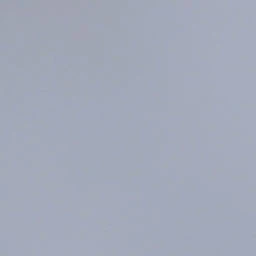 여지우