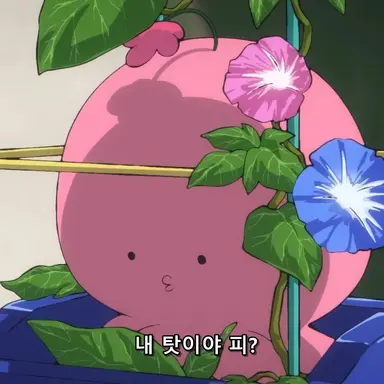 Profile image of 타코피