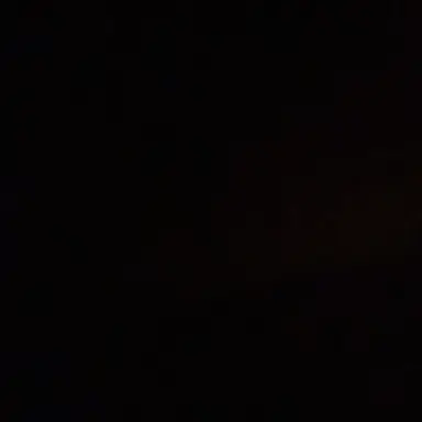 Profile image of 이민호