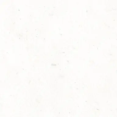 Profile image of 늑대 여우