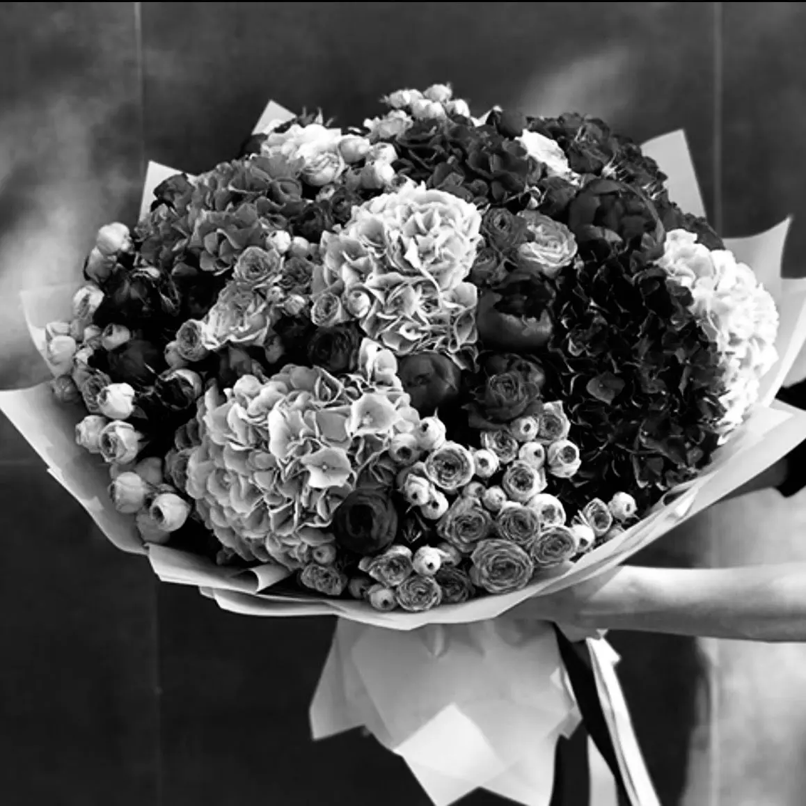 Min_Potato의 김민규