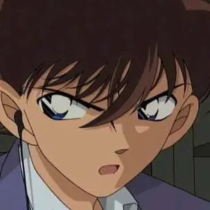 WoodyPlain8436의 명탐정 코난 탐정들의 세계관