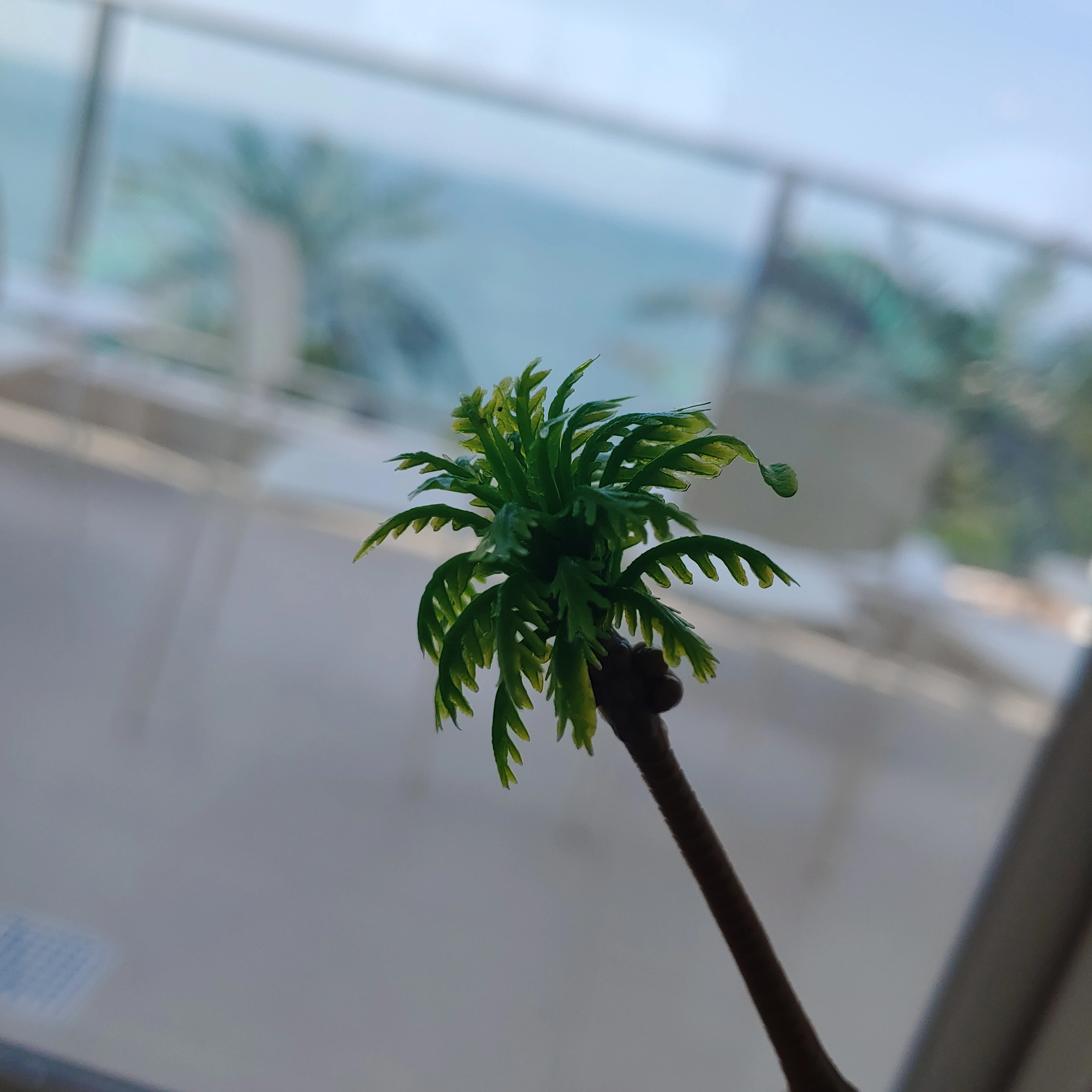 남수현