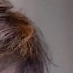 Profile image of 송민기