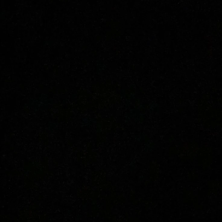 박종건