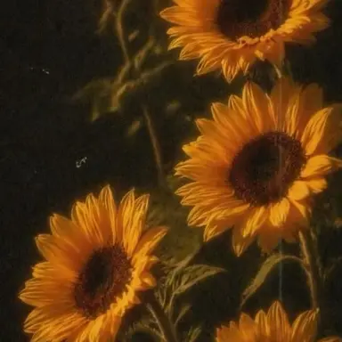 Profile image of 각별