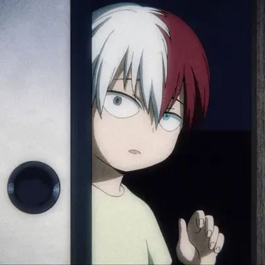 Profile image of Shoto Todoroki