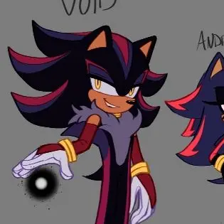 Profile image of Void